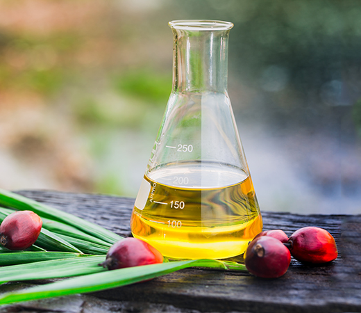 malaysia-incentivizes-its-palm-oil-industry-with-blockchain